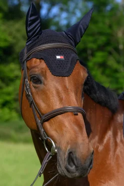 Lexington Fliegenhaube