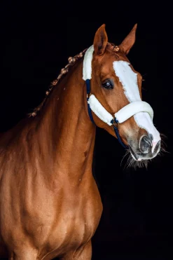 Lincoln Halfter mit Kunstfell