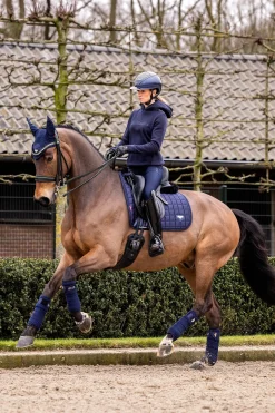 Loire Classic Dressurschabracke