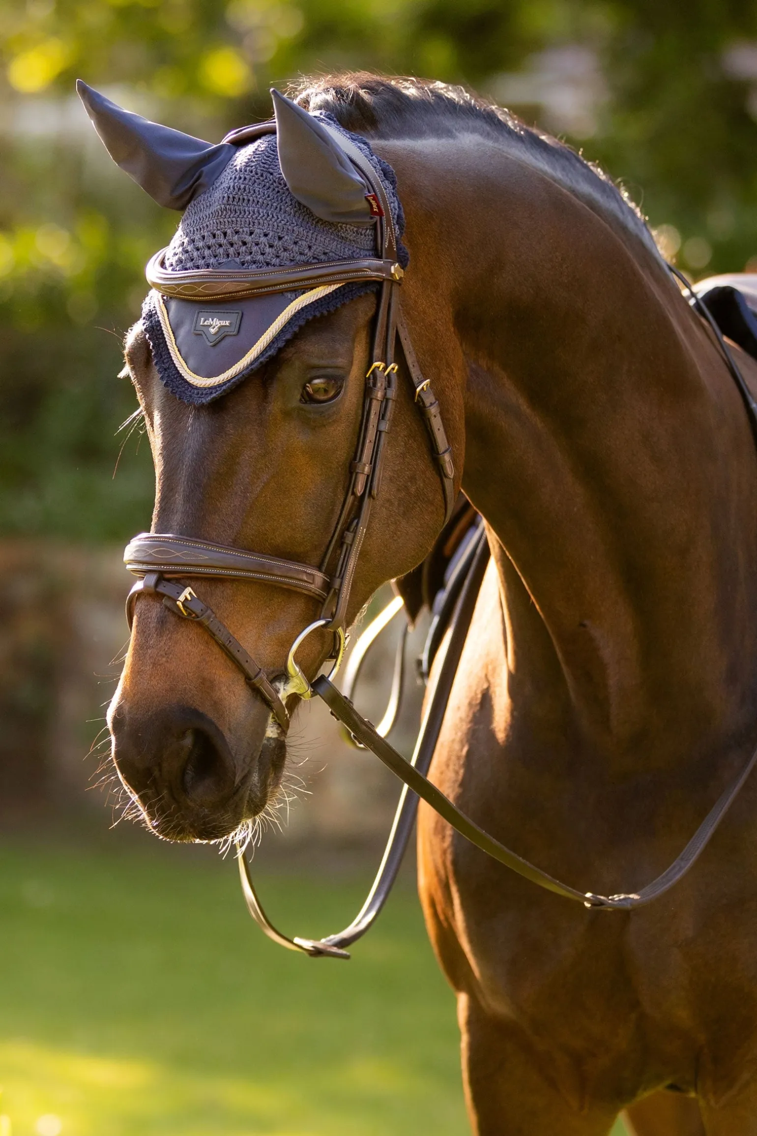 Loire Satin Fliegenhaube
