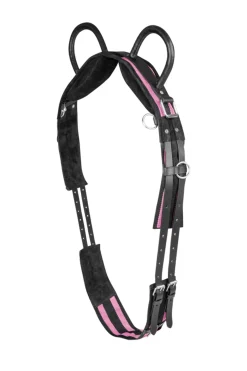 Longiergurt mit zwei Handgriffen