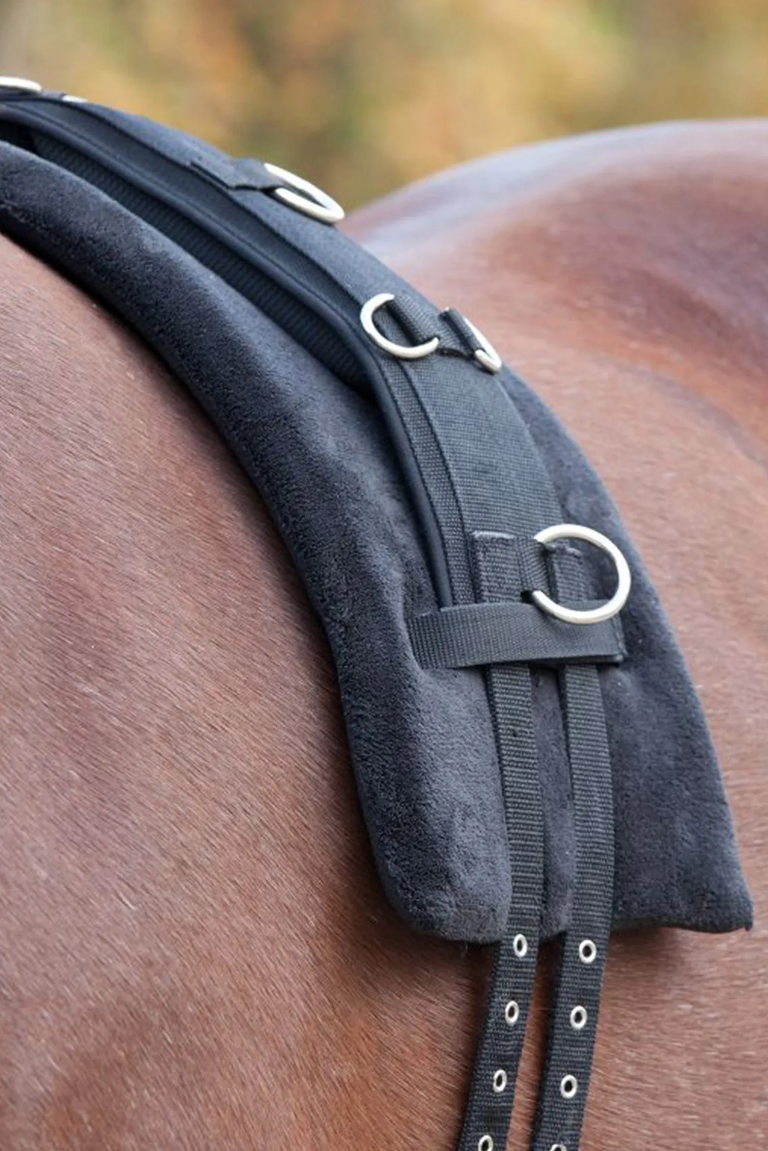 Longiergurt-Unterlage Memory Schaum