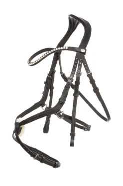 Lucia Mexikanische Trense