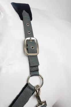 Magic Halfter & Führstrick Set