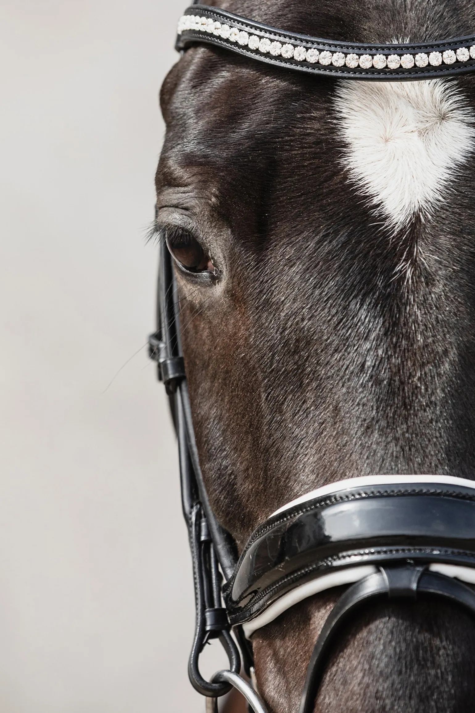 Malibu anatomische Dressur Trense