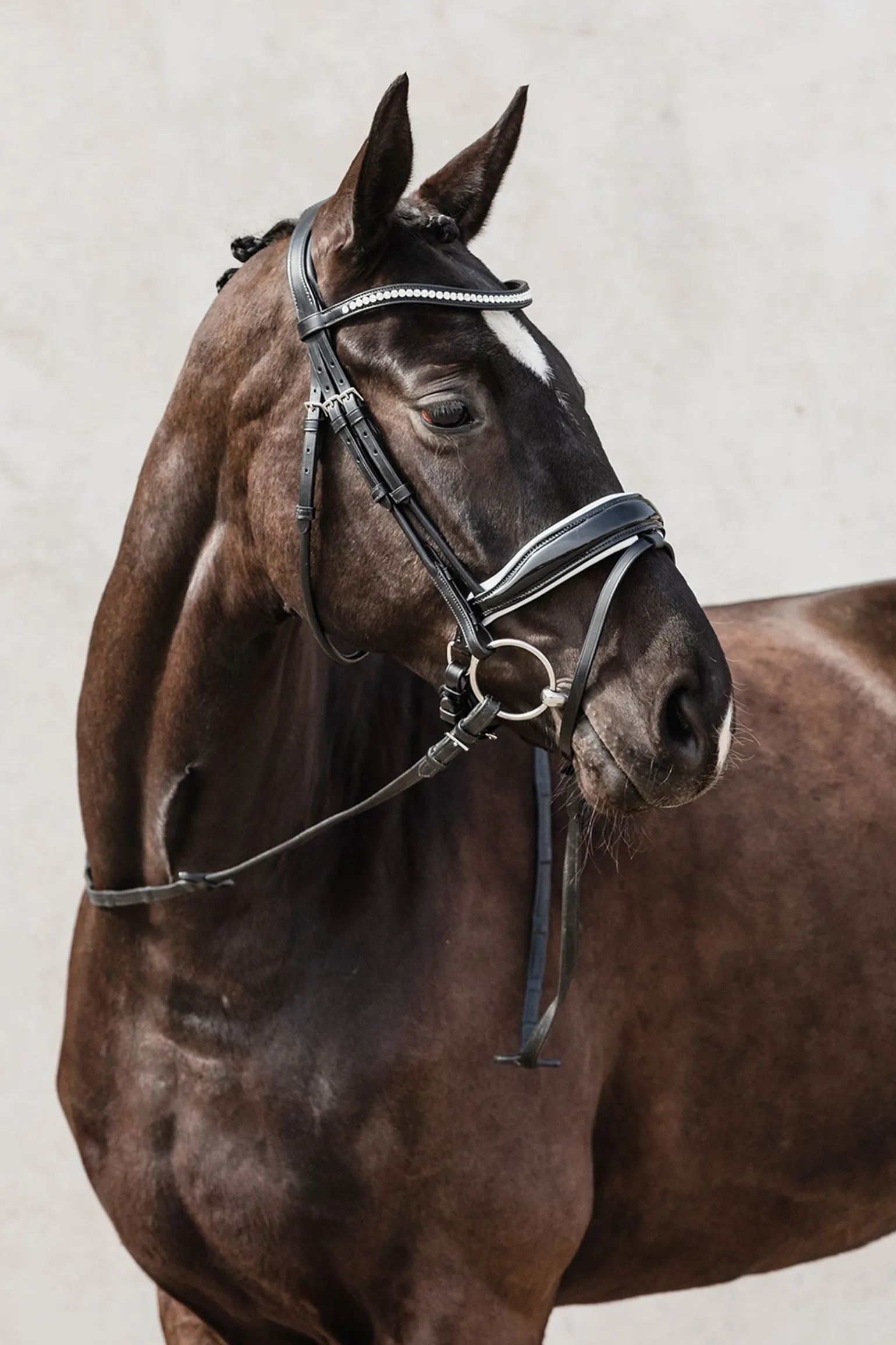 Malibu anatomische Dressur Trense