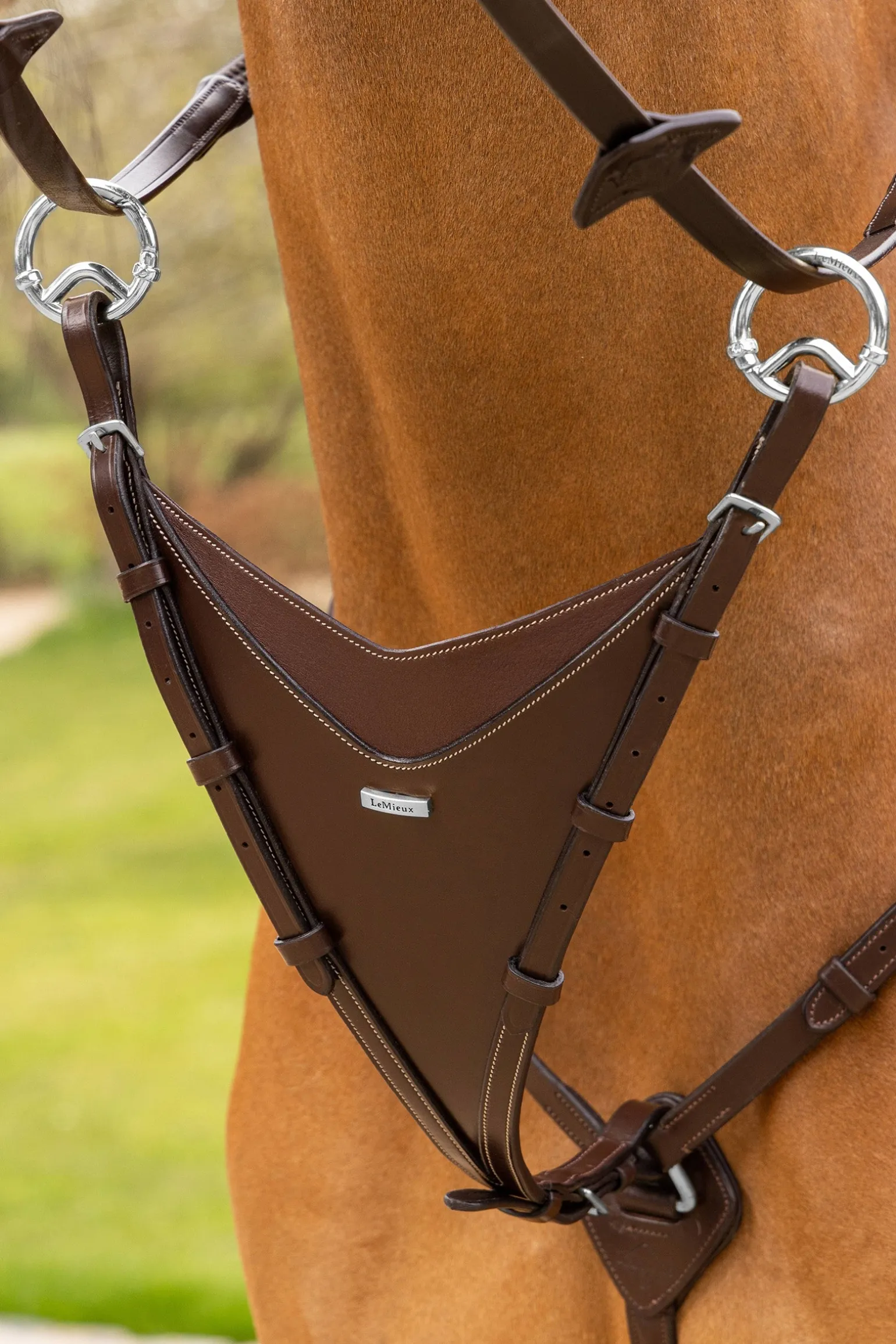 Martingalgabel geschlossen