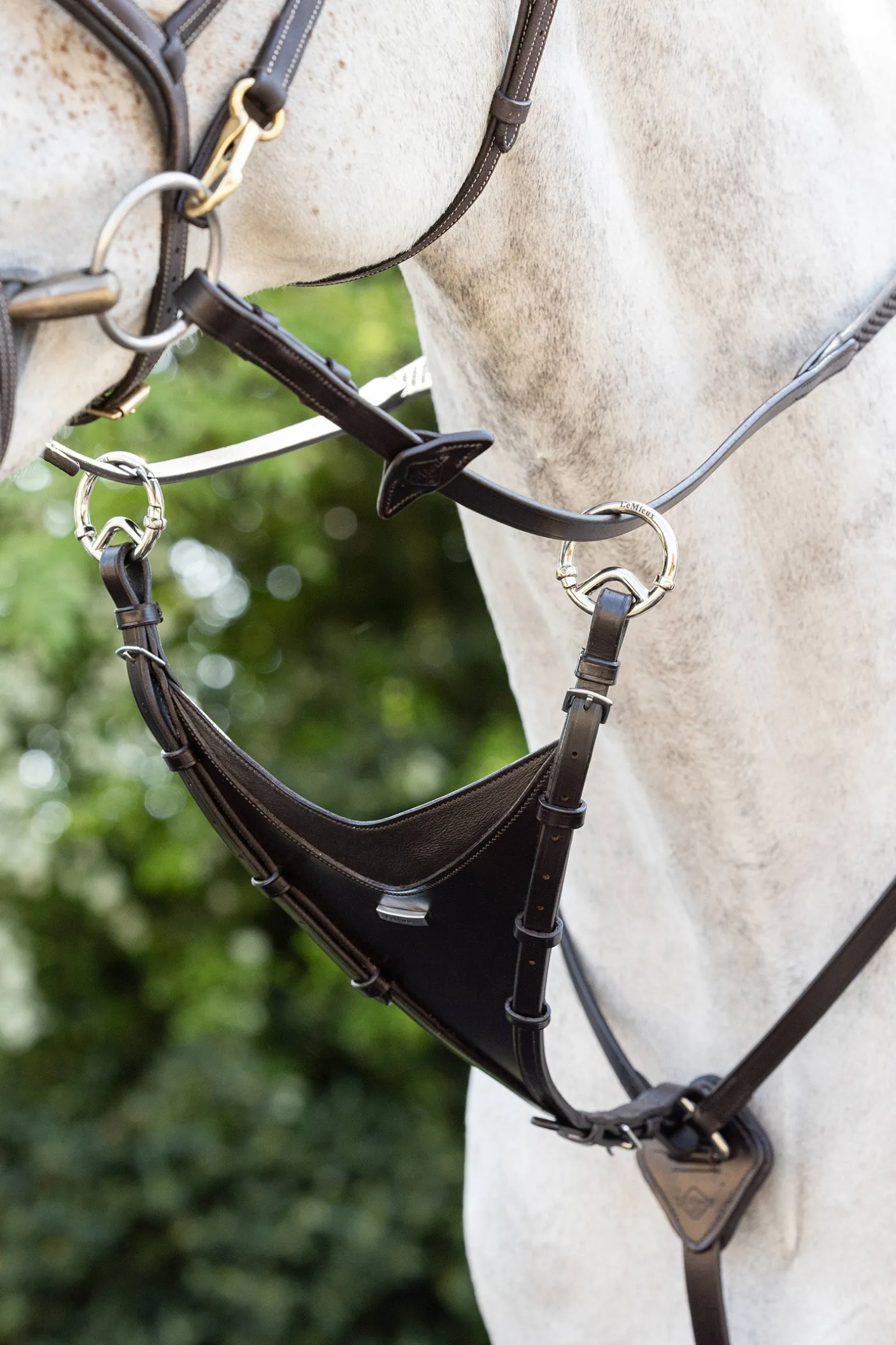 Martingalgabel geschlossen