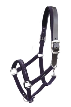 Memphis II Halfter mit zusätzlichem Sicherheits Genickriemen