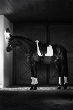 Merino+ Dressurschabracke, halb gefüttert