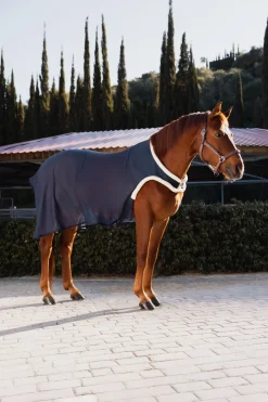 Mesh-Führanlagendecke