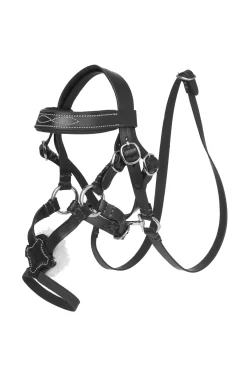 mexikanisches Zaumzeug für Spielzeugpony