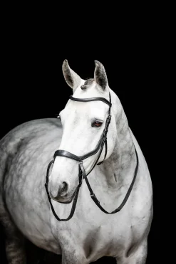 Micklem gebisslose Trense