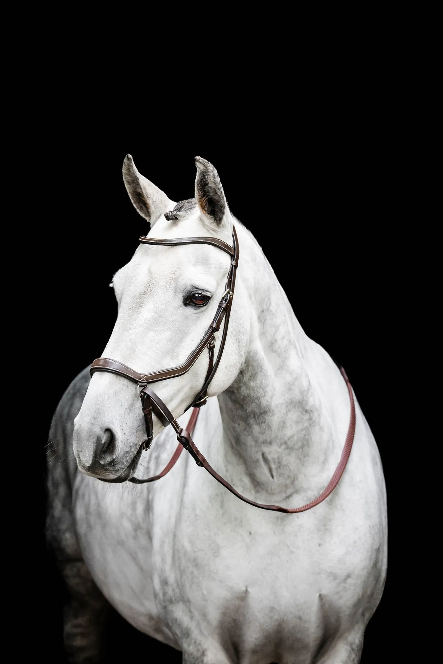 Micklem gebisslose Trense