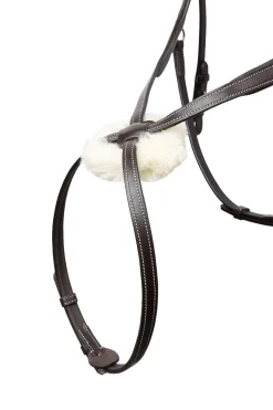 Monterrey Mexikanische Trense