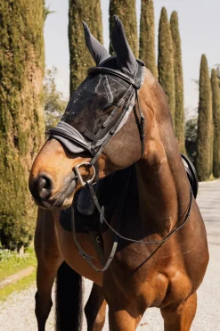 Mountain Fliegenhaube