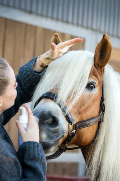 Natürlicher Mähnenschaum, 200ml
