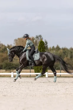 Nepal Dressurschabracke