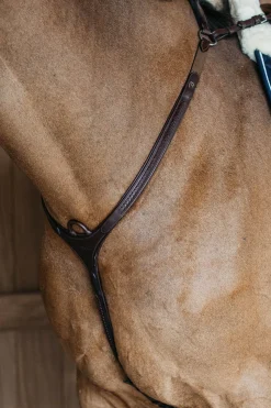 New English geflochtenes Vorderzeug mit Brücke