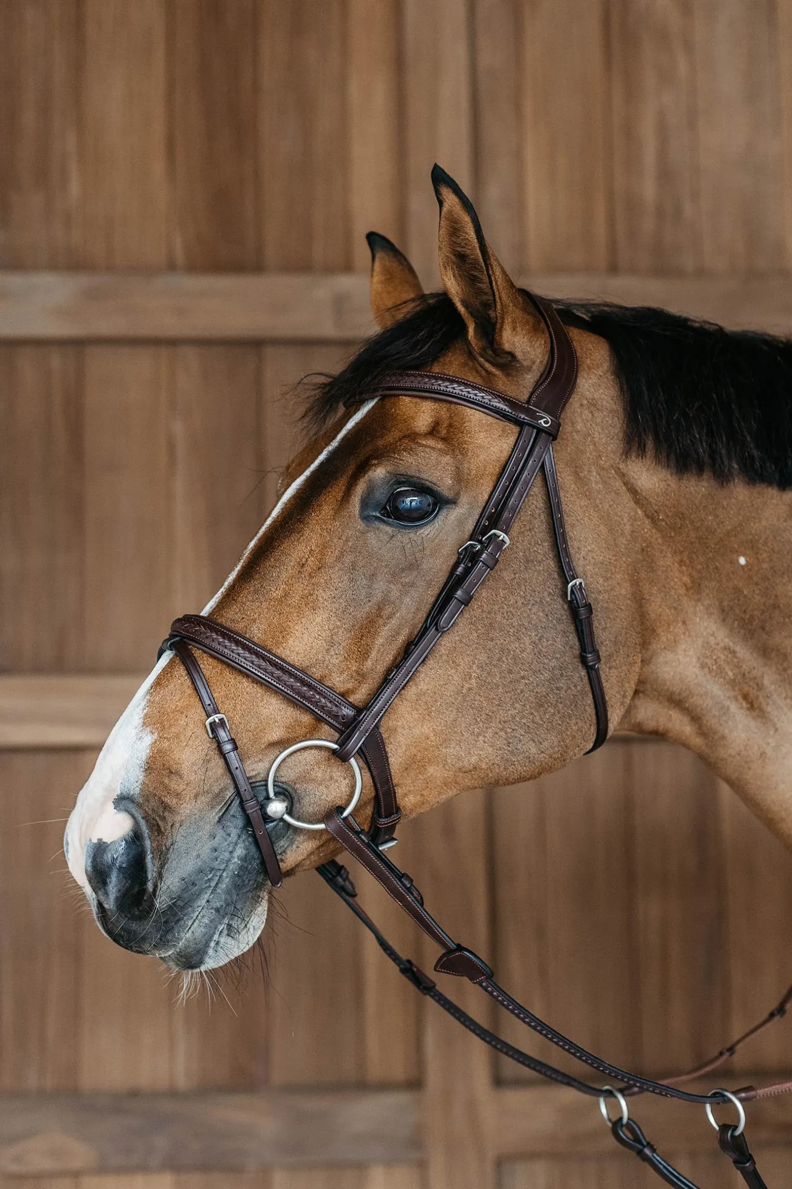 New English kombinierte Trense mit Flechtdetails