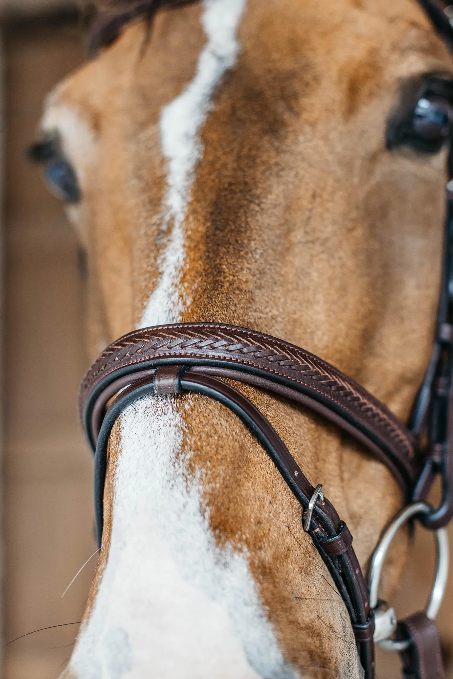 New English kombinierte Trense mit Flechtdetails