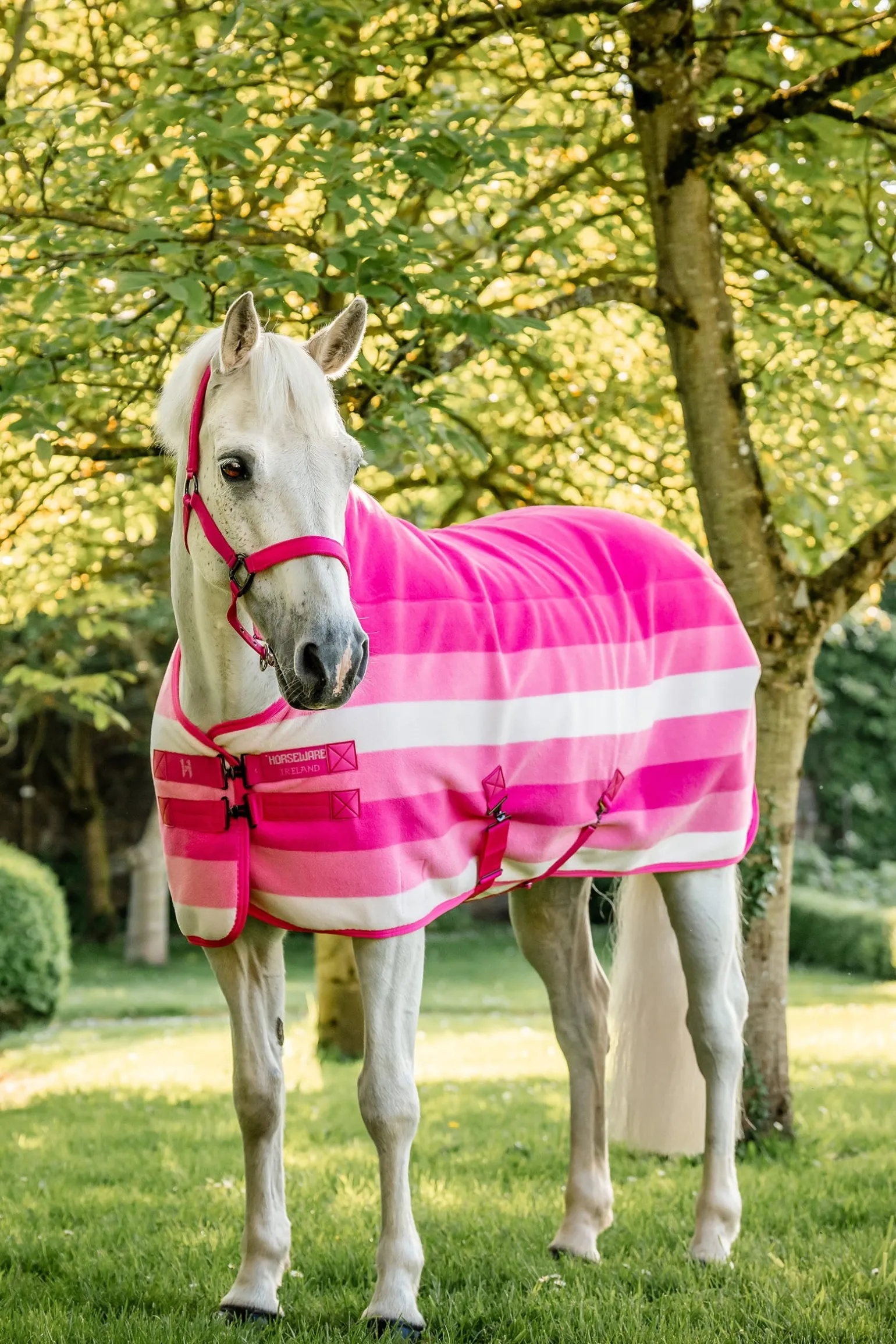 Newmarket Fleece Abschwitzdecke