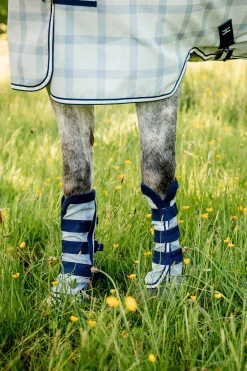 Newmarket Fly Boots - Set aus 2