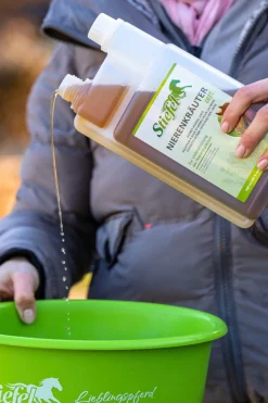 Nierenkräuter Saft, 1l