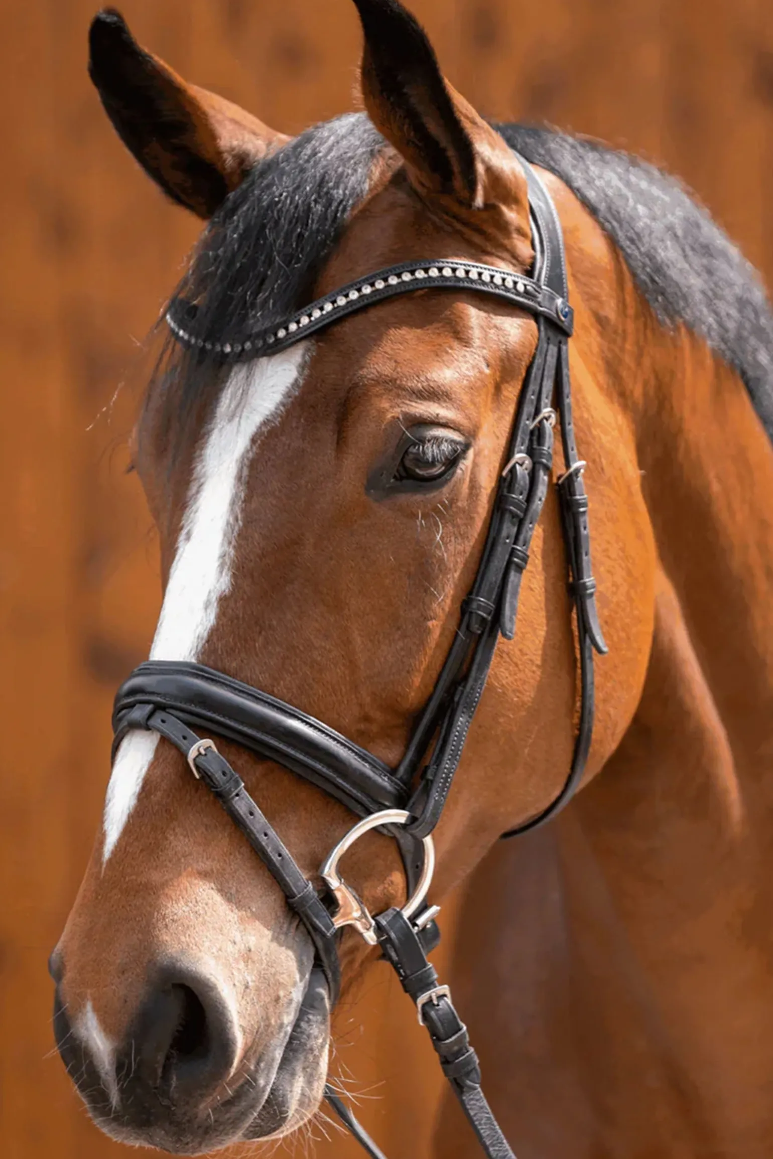 Novocontact Oliv.K.TR. Doppelt Gebr.