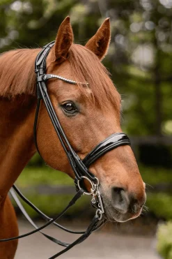 Novocontact Weymouth 14mm Sensogan mit 5cm Edelstahl-Schenkeln