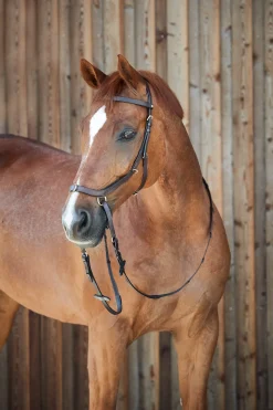 Orlando Kombinierte Anatomische Gebisslose Trense