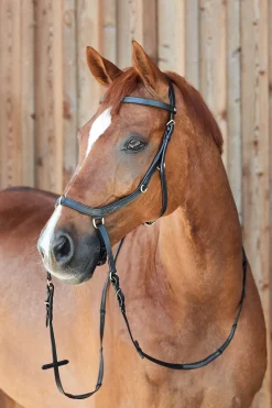 Orlando Kombinierte Anatomische Gebisslose Trense
