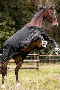 Outdoor Rug Scandic 50g