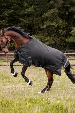 Outdoor Rug Scandic Light