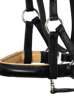 Pardoes de Luxe Sidepull mit Zügeln (System 3)