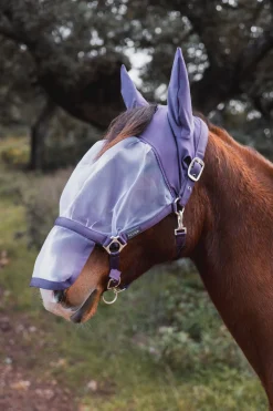 Paso Fino Halfter mit Fliegenmaske