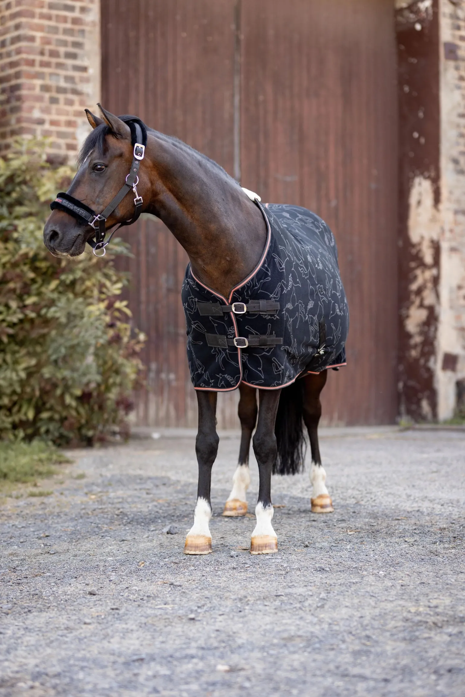 Pegasus Pony Fleece-Abschwitzdecke