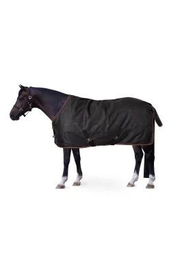 Pegasus Pony Regendecke 200 g/m²