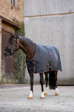 Pegasus Pony Regendecke 200 g/m²