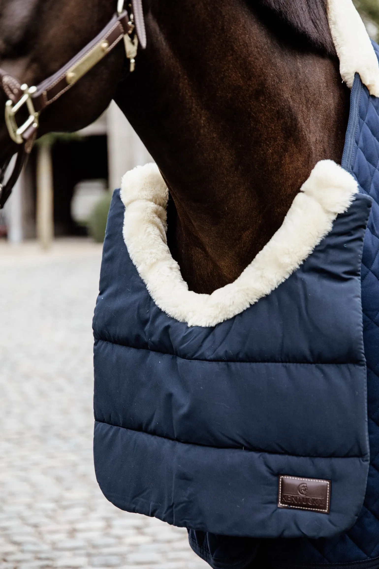 Pferde BIB Winter Brustschutz