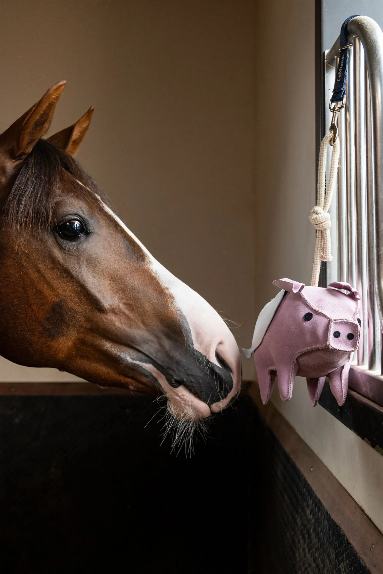 Pferdespielzeug Fliegendes Schwein
