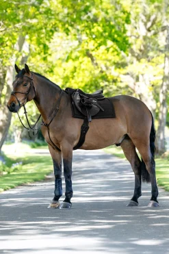 Pillow gepolsterte Vielseitigkeitsschabracke