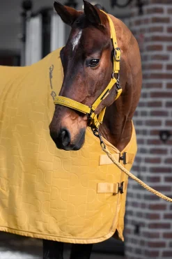 Platinum 25 Doppelte Pin Halfter aus Kunstleder