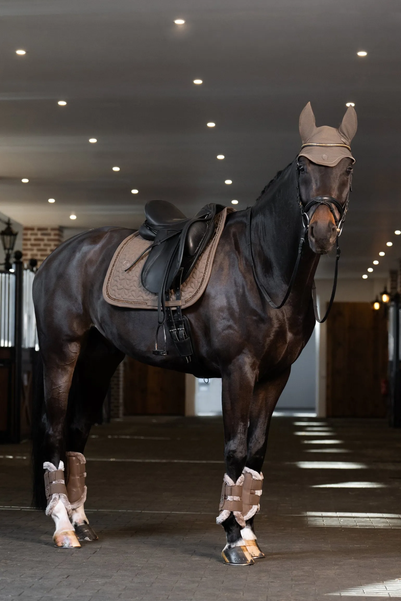 Platinum 25 Dynair Mesh Sport Fliegenohren