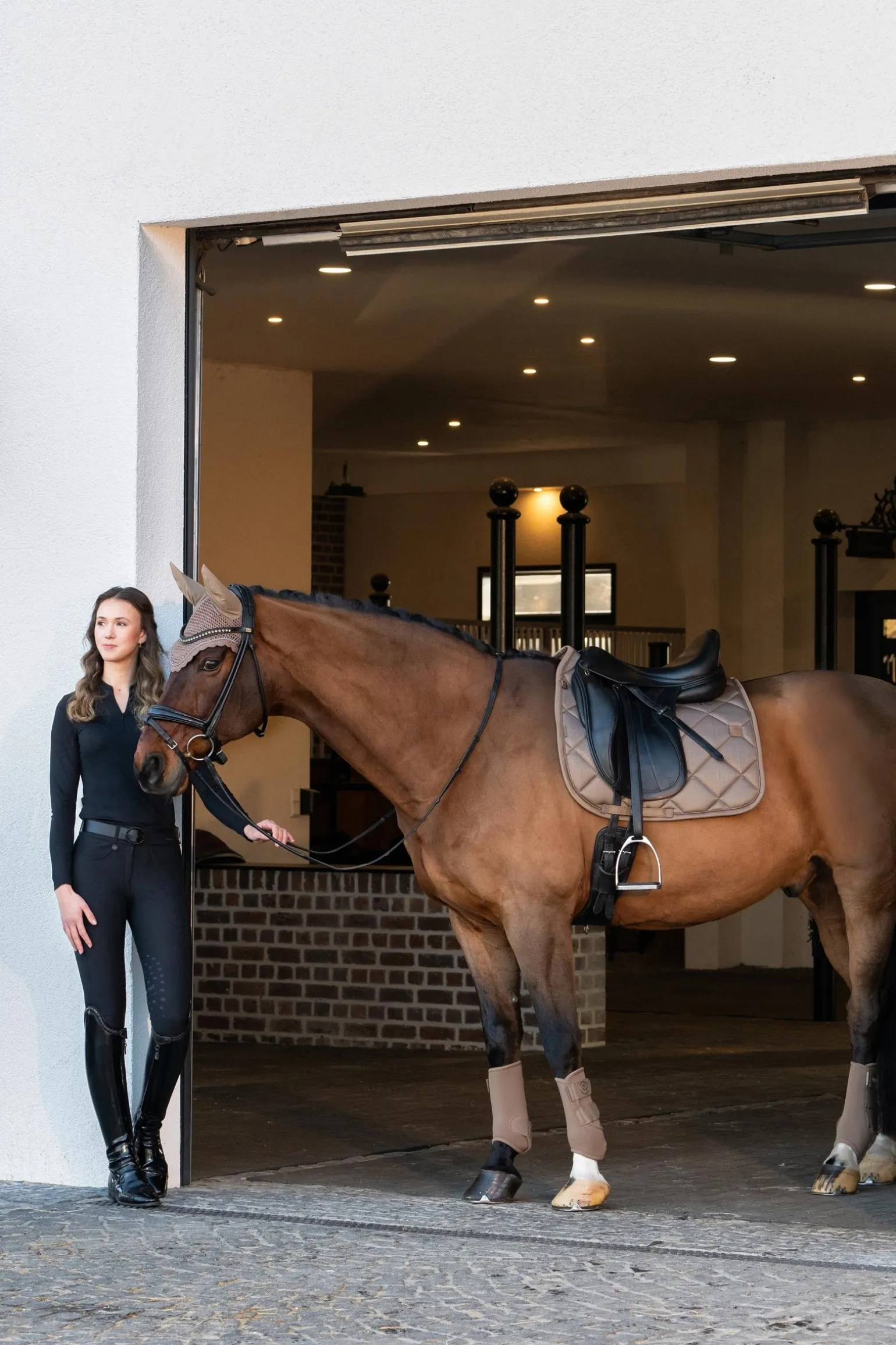 Platinum 25 Glossy Bit Vielseitigkeitsschabracke