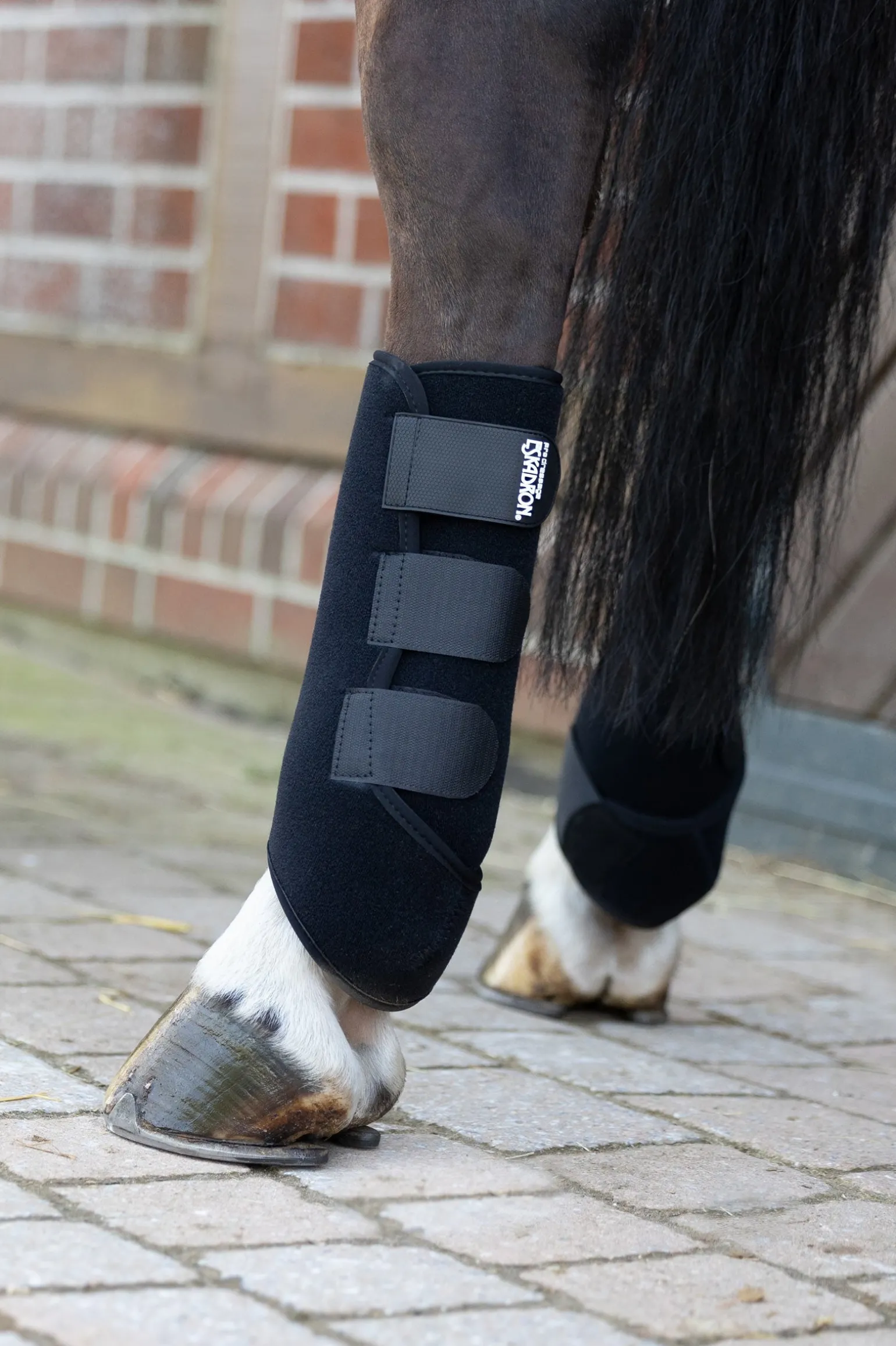 Platinum 25 Pro Dressur Gamaschen, hinten