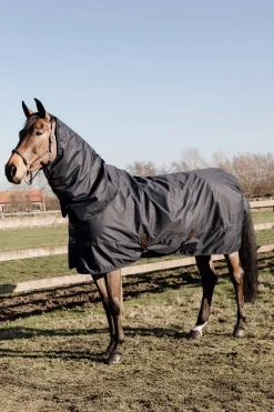 Pony All Weather Classic Weidedecke, 0g