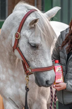 Power Shampoo Kamille für helles Haar
