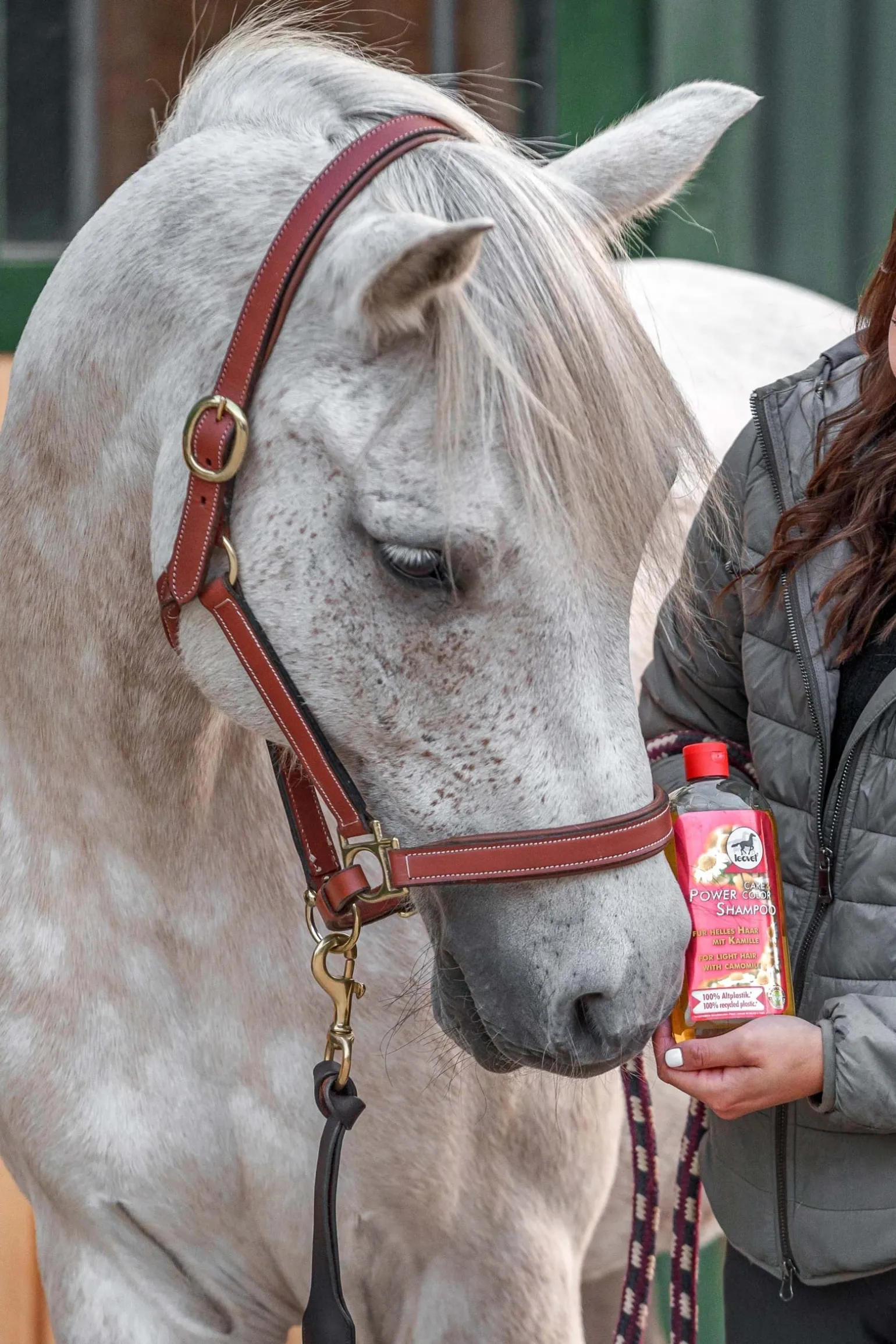 Power Shampoo Kamille für helles Haar