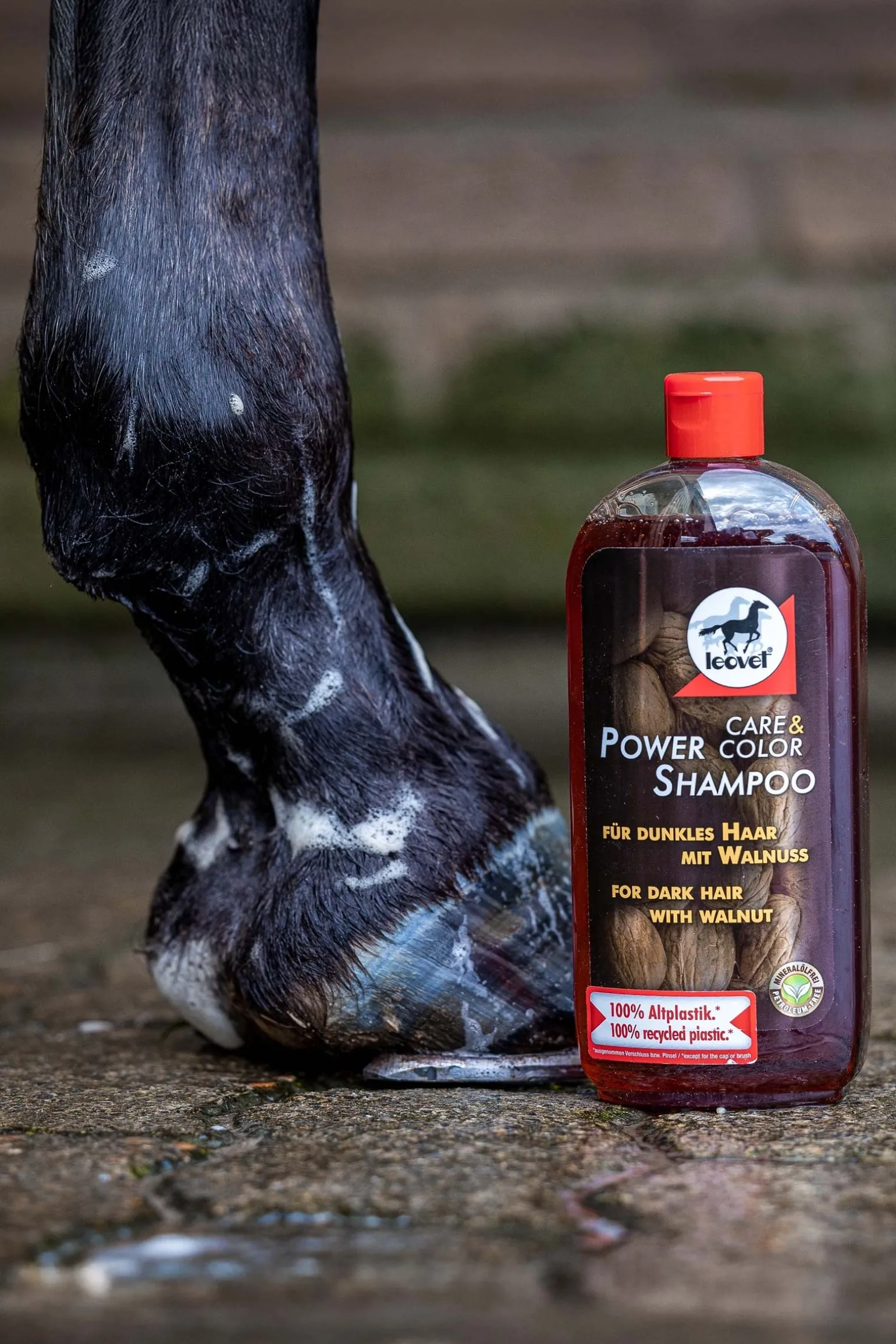 Power Shampoo Walnuss